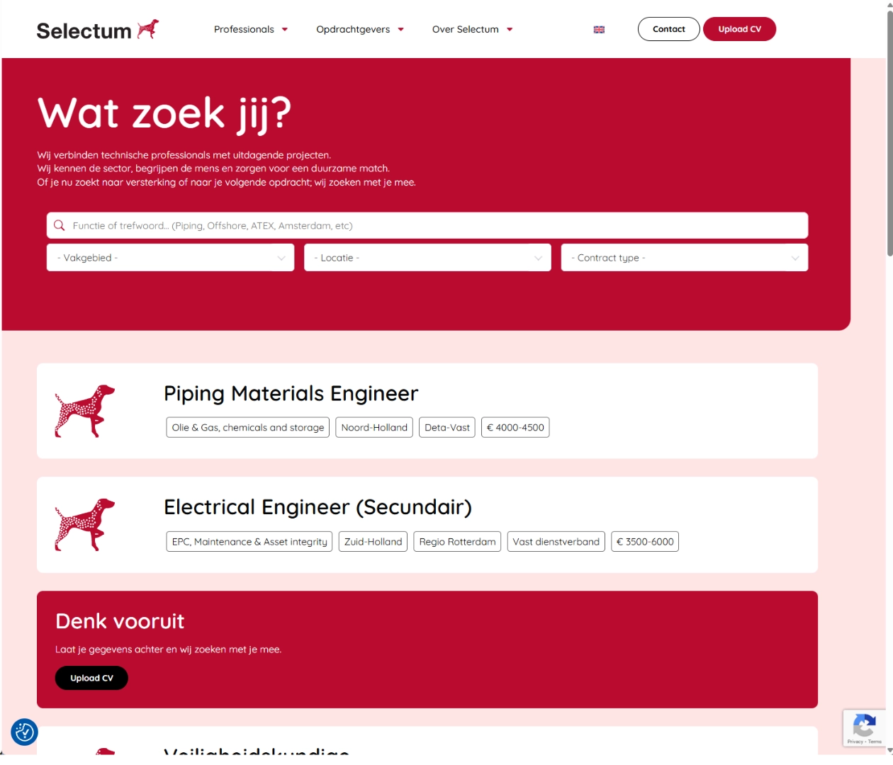 portfolio-selectum-slide2